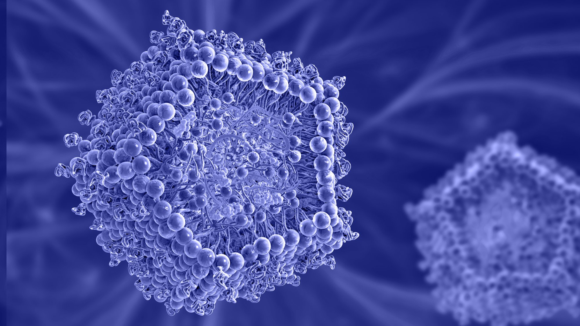 mRNA_LNP_3